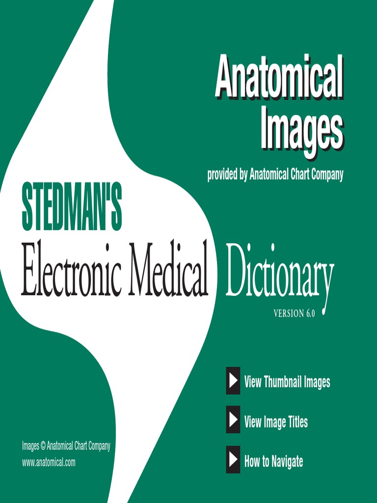 Stedman's Electronic Medical Dictionary 6th Edition PDF Anatomical