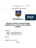 INFORME 5 Hongos Ambientales