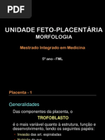 Aula 3  Unidade feto-placentária (morfologia e fisiologia) (handouts)