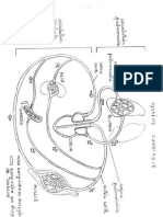 Doc 1 Trajet Circulation Corps