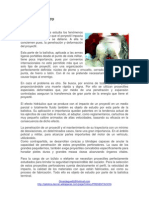 BALISTICA DE EFECTO.pdf