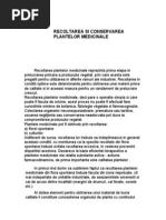 Recoltarea Plantelor Medicinale