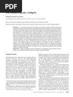 Download Soft Gelatin Capsules Softgels by prenatooliveira SN177410507 doc pdf