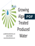 Biodiesel from algae