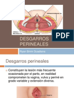 Desgarro Perineal