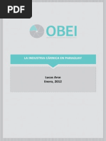 El Boom de La Industria Carnica en El Paraguay 2012