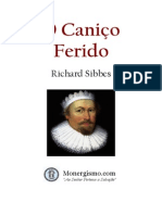 canico-ferido_sibbes