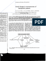 411 Functional changes in motoneurones of hemiparetic patients.pdf