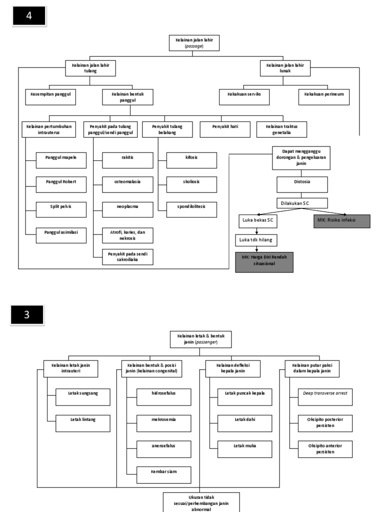Pathway Distosia | PDF
