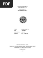 Download Percobaan 1 Ekstraksi Pelarut by imania shaumi SN177456997 doc pdf