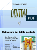 Expo Dentina