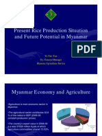 3DP Present Rice Production MAS