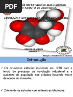 SEMINARIO VITAMINAS 2013-01