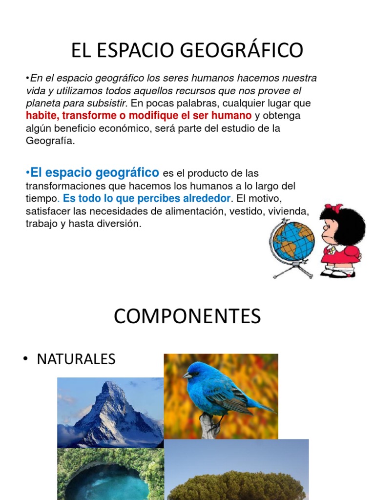 El espacio geográfico, sus componentes y las categorías de