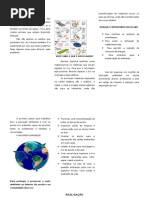 informativo reciclagem