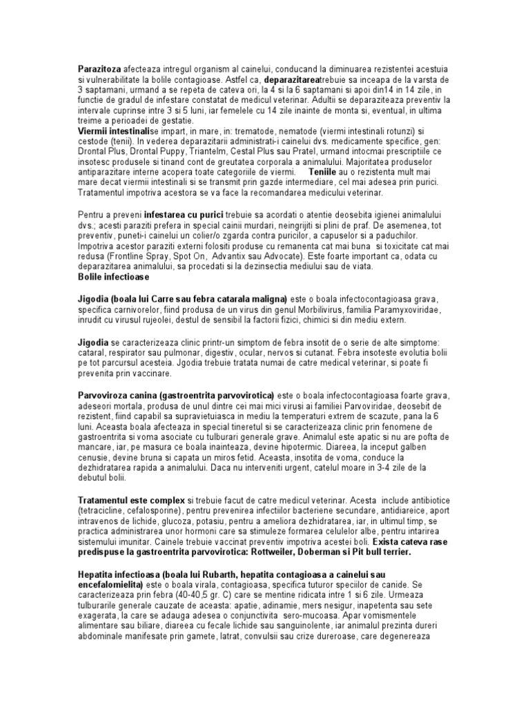 Parazitoza Afecteaza Intregul Organism Al Cainelui