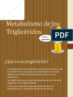 Metabolismo de Los Triglicéridos