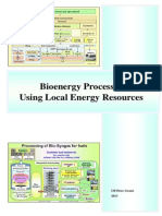 Bioenergy Processing Using Local Energy Resources - Ulf-Peter Granö 2013 EN