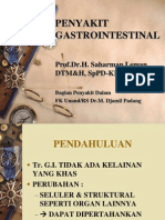 PENYAKIT GASTROINTESTINAL1lansia1