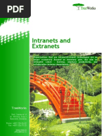 Download Intranets and Extranets TreeWorks white paper by Catalin Tenita SN17751 doc pdf