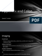 Imaging and Pathology of the Colon