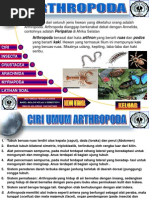 Download Arthropoda by Rafis Eko Setiawan SN177529627 doc pdf