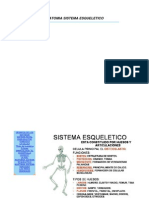 Anatomia Sistema Esqueletico