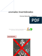 Animales Invertebrados