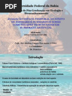 Seminário dissertação