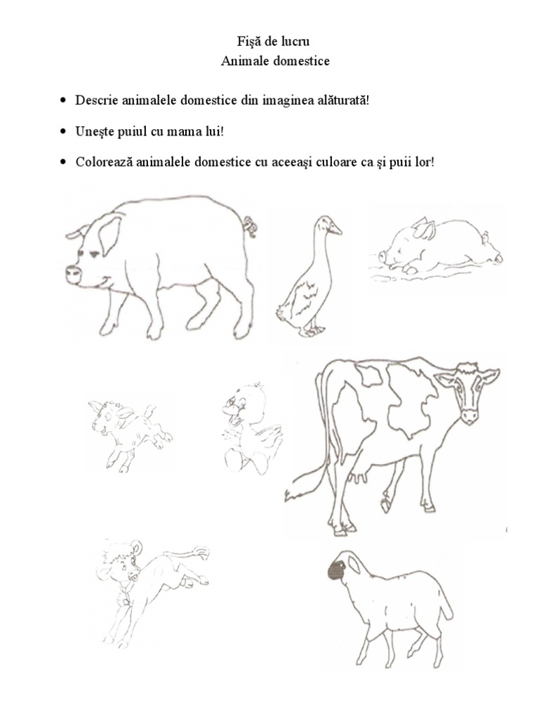 0 Fisa De Lucru Animale