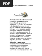Zoologia Dos Invertebrados II - Insetos
