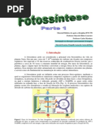 Fotossintese1B