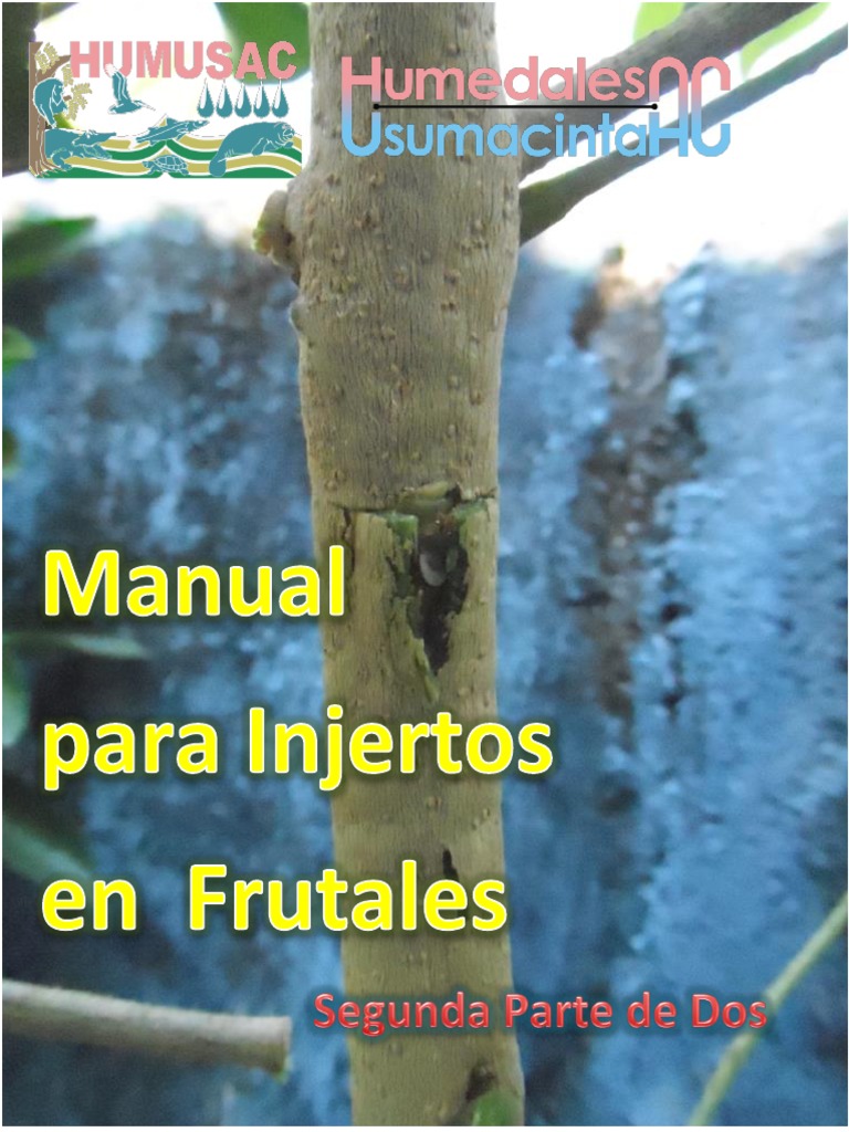 Manual para Injertos 2 | PDF | Injerto | Plantas