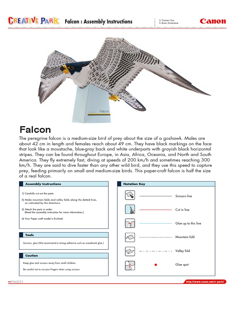 Step-by-Step Origami Falcon Guide | PDF
