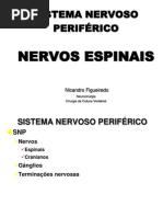 004 - Nervos espinais