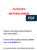 Gli̇kojen Metaboli̇zmasi