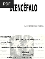 013 - Diencéfalo 1