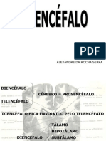 013 - Diencéfalo 1