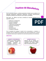 Manual de Buenas Practicas de Manufactura en Frutas y Hortalizas2