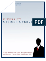 Diversity Officer Overview 