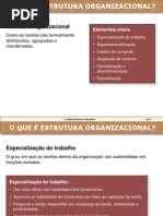 Fundamentos de Estruturas Organizacionais