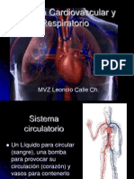 Sistemacardiovascularyrespiratorio 100526235712 Phpapp02