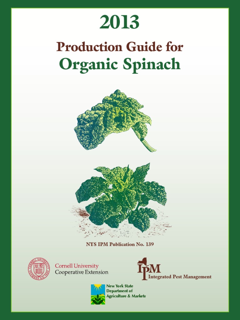 Organ Spinach | PDF | Crop Rotation | Organic Farming