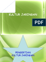 Kultur Jaringan 2