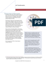 P-OTN - Packet Optical Transport Network