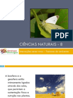 Powerpoint nr. 2 - Interacções seres vivos -Factores do Ambiente - Solo