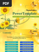 403TGp Natural Light