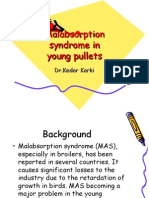 Malabsorption Syndrome in Young Pullets