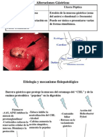 Alteraciones Gástricas