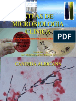 Atlas Microbiologia Clinica Pate i 1202586123457813 3